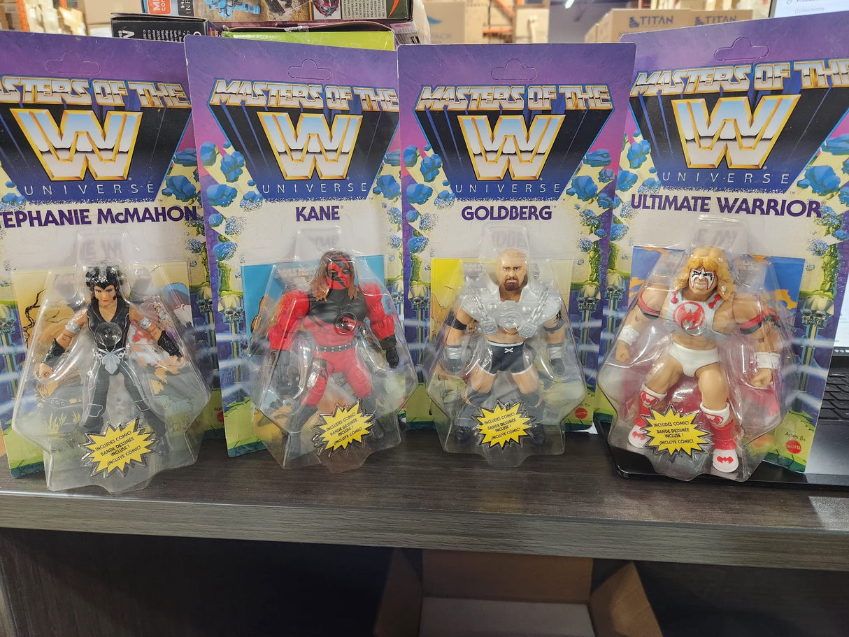Masters of Universe Action Figures WWE - Assortment
