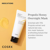 Full Fit Propolis Honey Overnight Mask