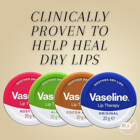 Vaseline Lip Balm, 4 pack variety