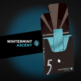 5 Gum Wintermint Ascent Sugarfree Chewing Gum, 15-Stick Pack