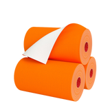 Renova Orange Paper Towel
