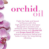 OGX Fade-Defying Orchid Oil Shampoo with UVA/UVB Sun Filters, 13 Ounces