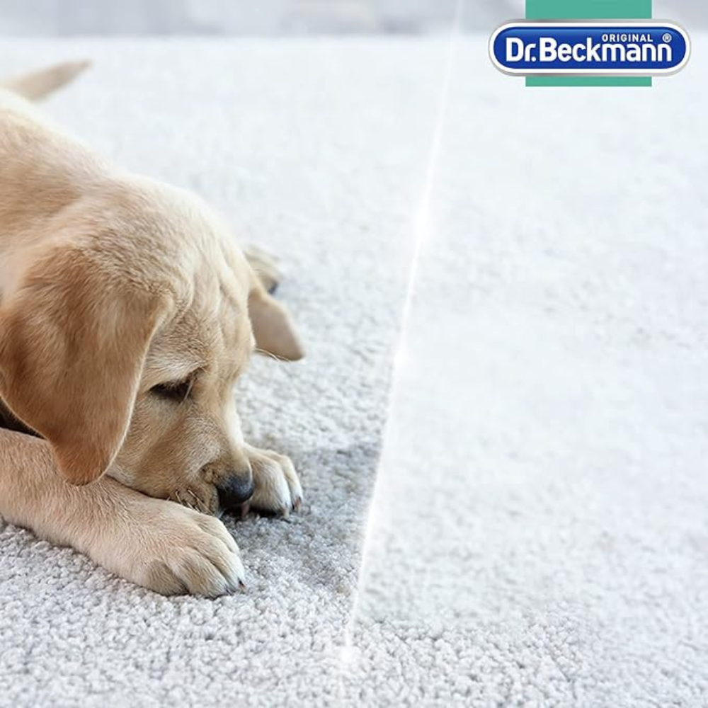 Dr. Beckmann Pet Stain and Odour Remover